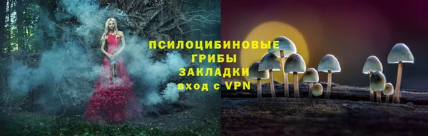 шишки Абинск