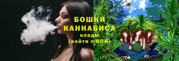 шишки Абинск