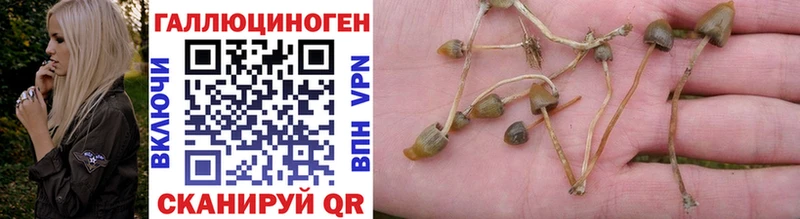 Галлюциногенные грибы Magic Shrooms  mega как зайти  Краснодар  дарнет шоп 