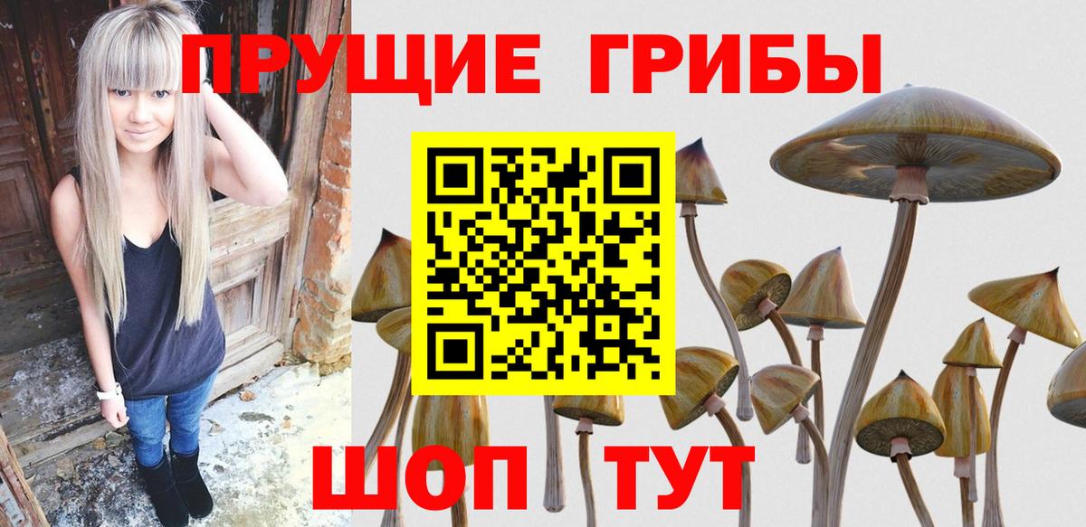 Краснодар  Псилоцибиновые грибы MAGIC MUSHROOMS  Вход с VPN 