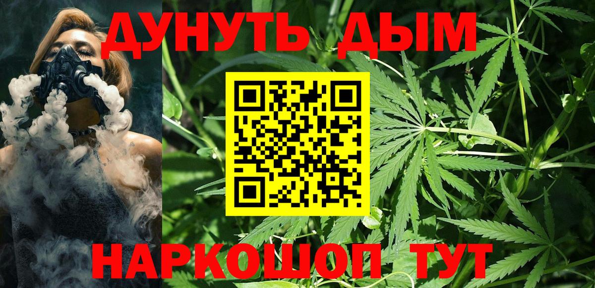 Канабис сатива Краснодар